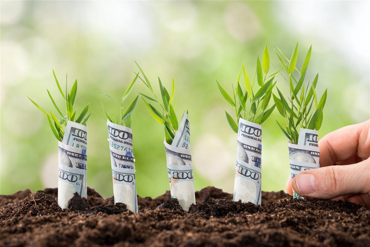 Raise-Pre-Seed-Funding