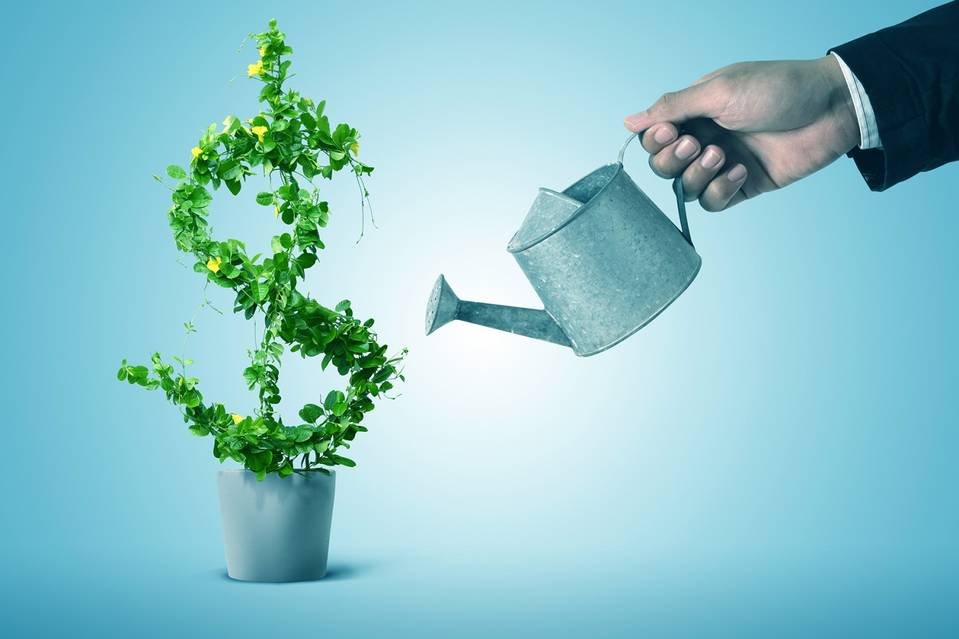 Startup M&A