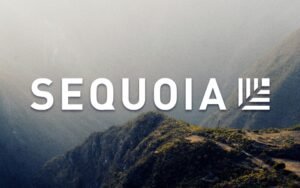 Sequoia Leads Startup Investment Activity in June as Meta Tops Spending Charts