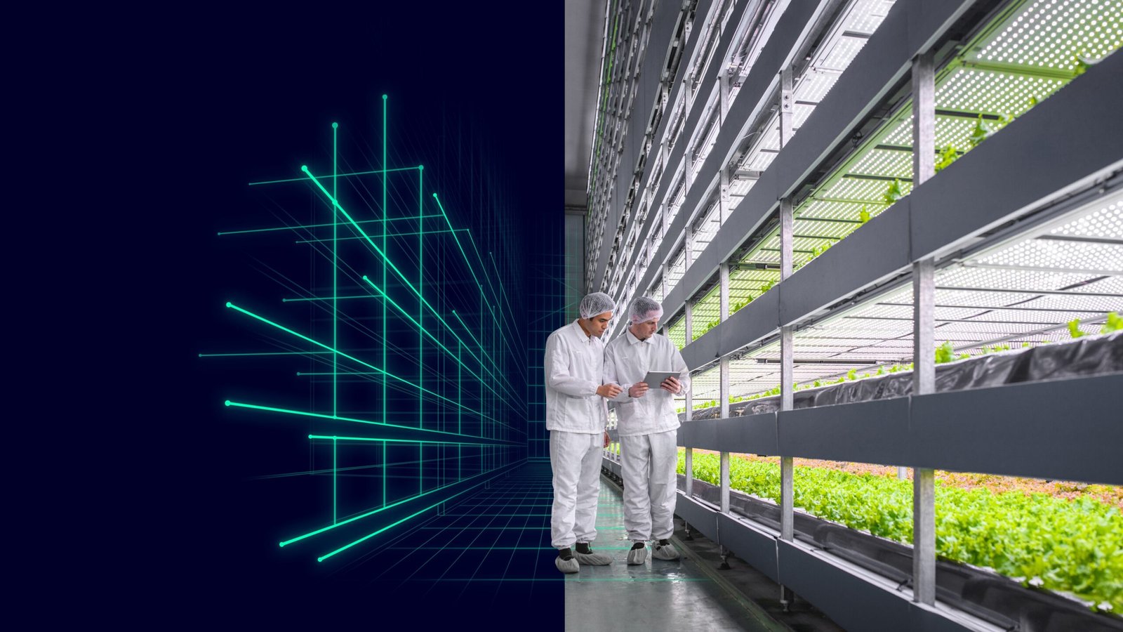 Automation in Agriculture